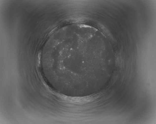 X0000080670026200701051020