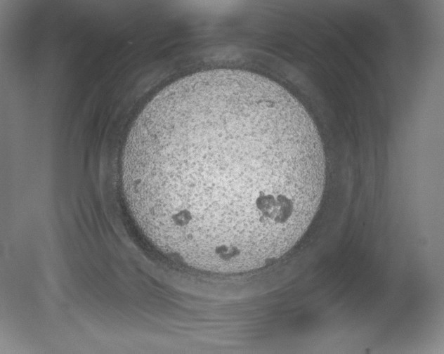 X0000080670028200701051020