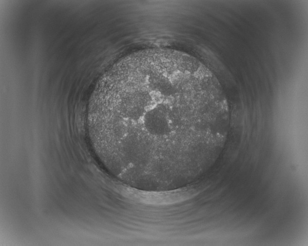 X0000080670030200701051020