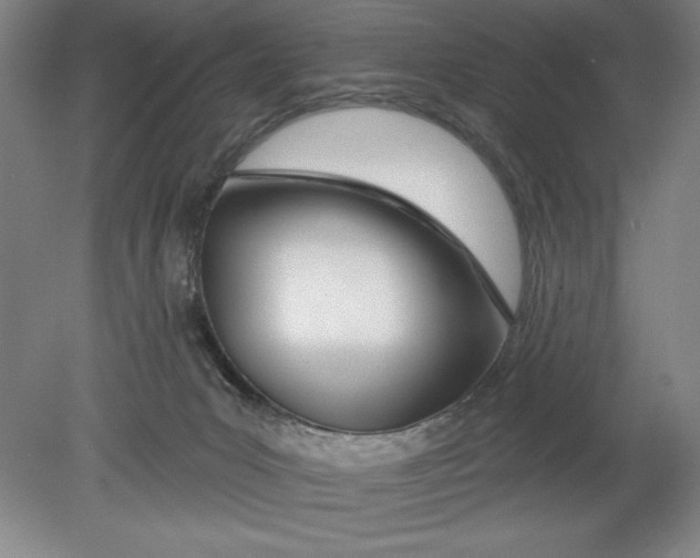 X0000080670031200701051020