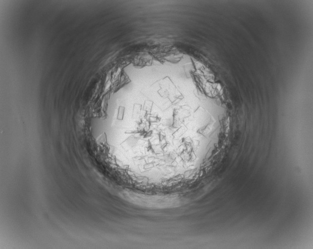 X0000080670032200701051020