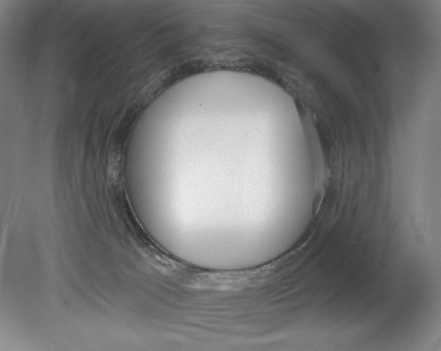 X0000080670033200701051020