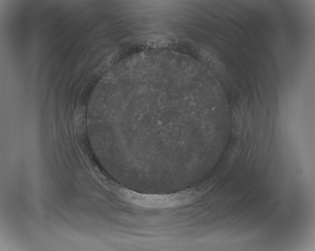 X0000080670034200701051020