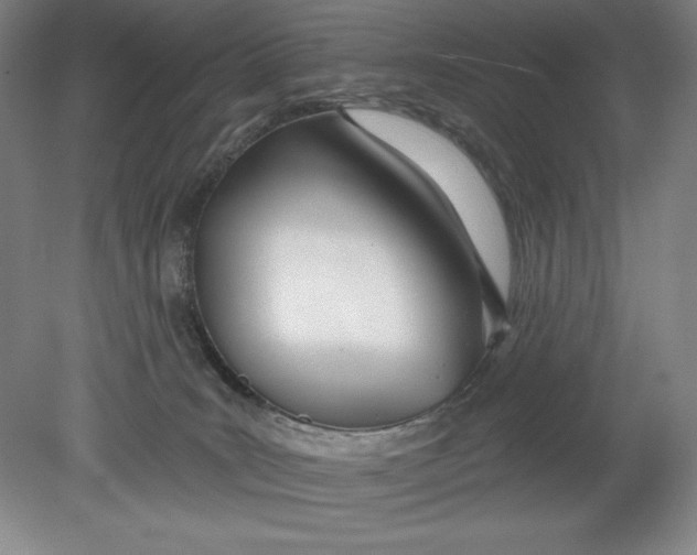 X0000080670035200701051020