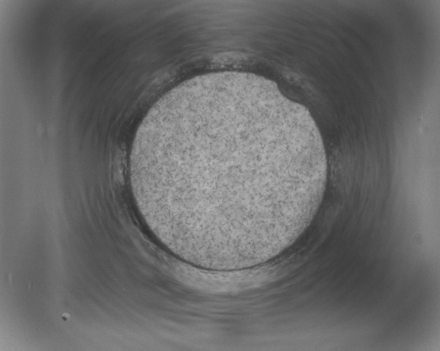 X0000080670038200701051020