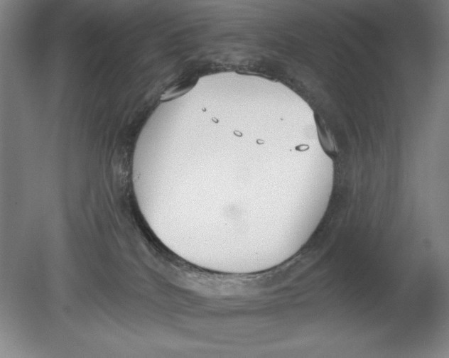 X0000080670040200701051020