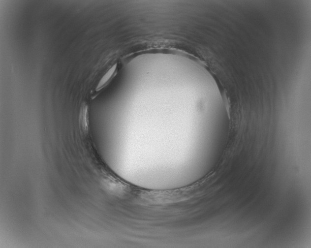 X0000080670041200701051020