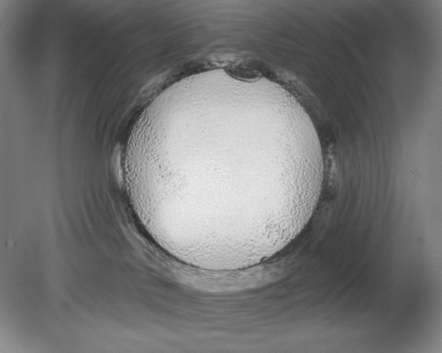 X0000080670042200701051020