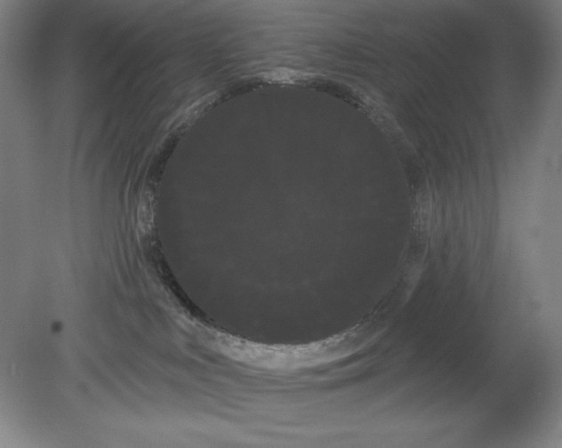 X0000080670043200701051019