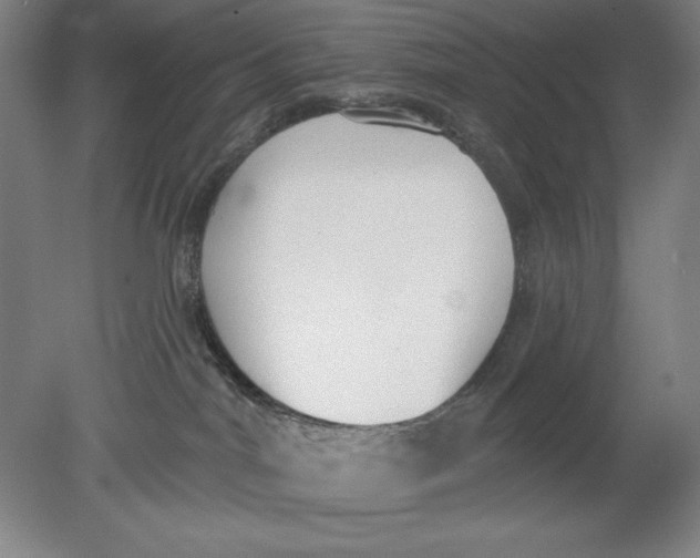 X0000080670044200701051019