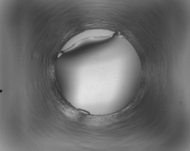 X0000080670045200701051019