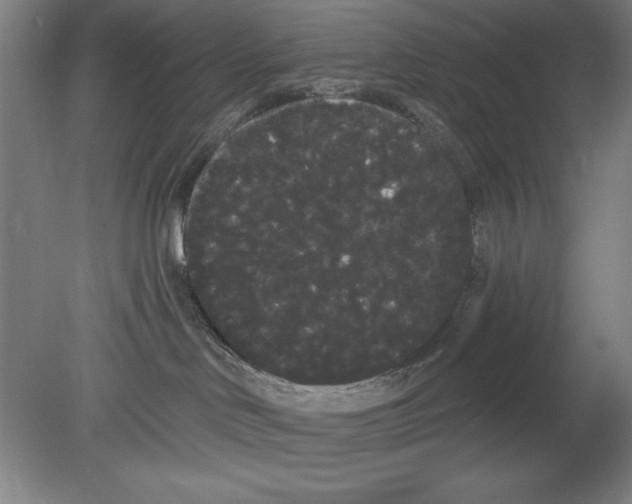 X0000080670046200701051019