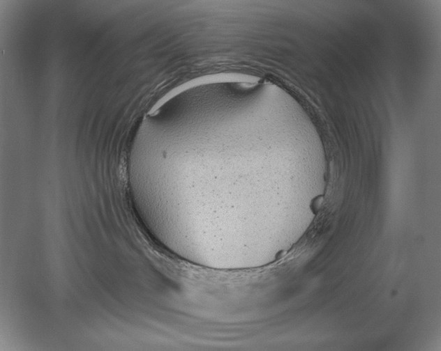 X0000080670048200701051019