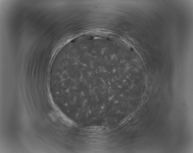 X0000080670049200701051019