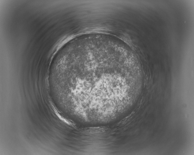 X0000080670050200701051019