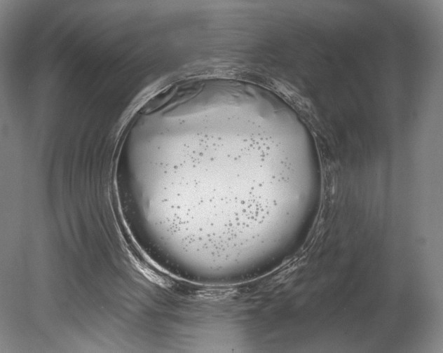 X0000080670051200701051019