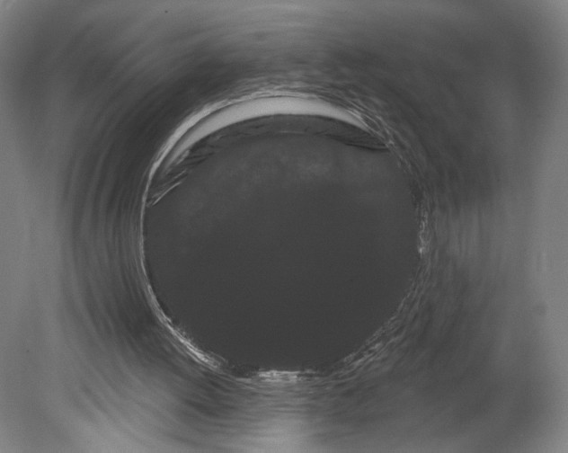 X0000080670052200701051019