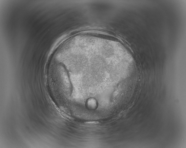 X0000080670053200701051019