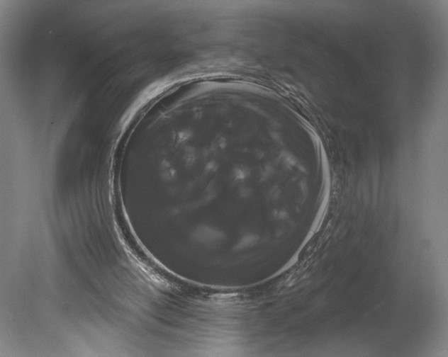 X0000080670054200701051019