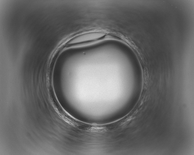 X0000080670055200701051019