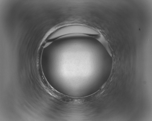 X0000080670056200701051019