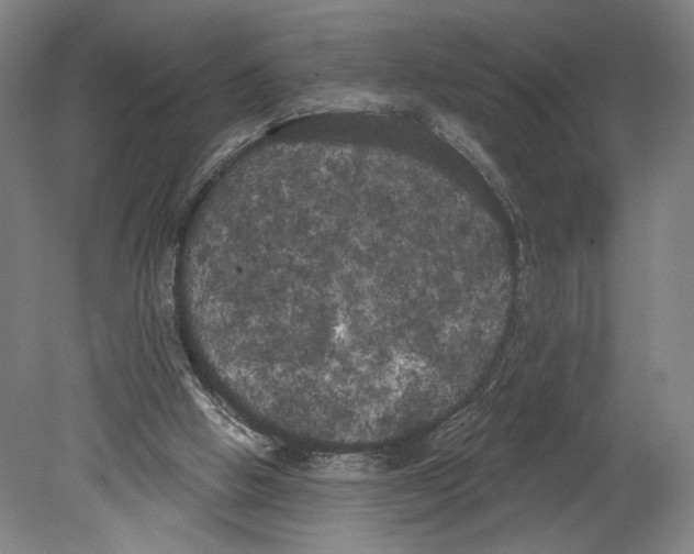 X0000080670058200701051019