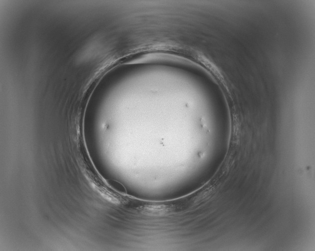 X0000080670059200701051019