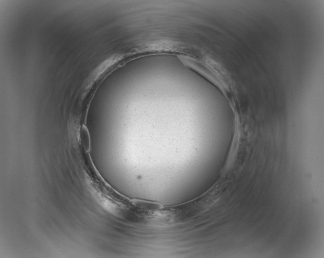 X0000080670060200701051019