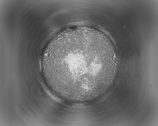 X0000080670061200701051019