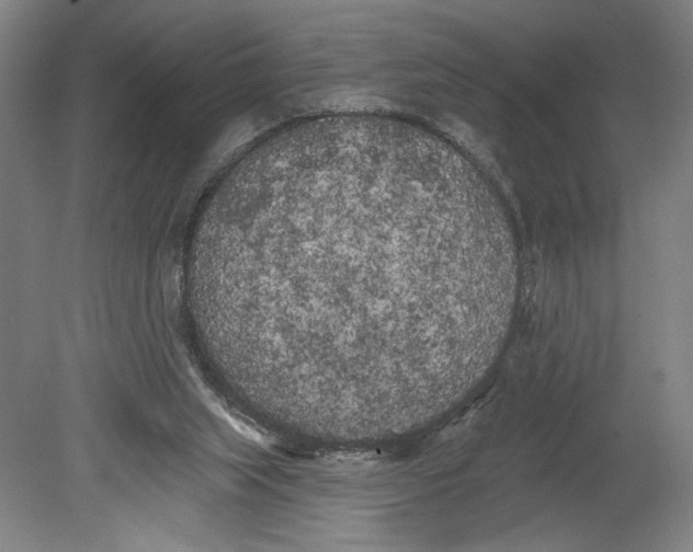 X0000080670063200701051019