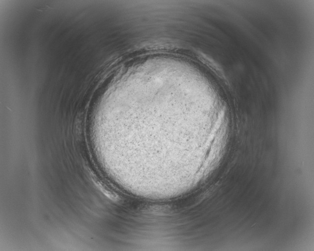 X0000080670065200701051019