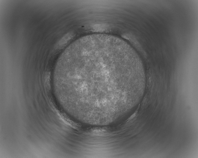 X0000080670066200701051019