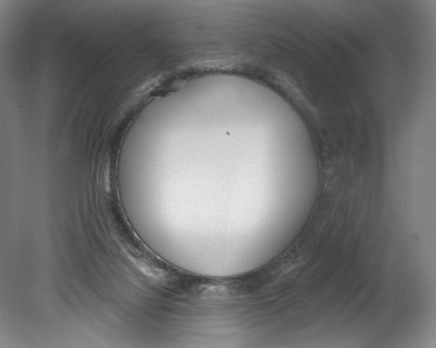 X0000080670068200701051019