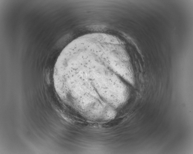 X0000080670069200701051019