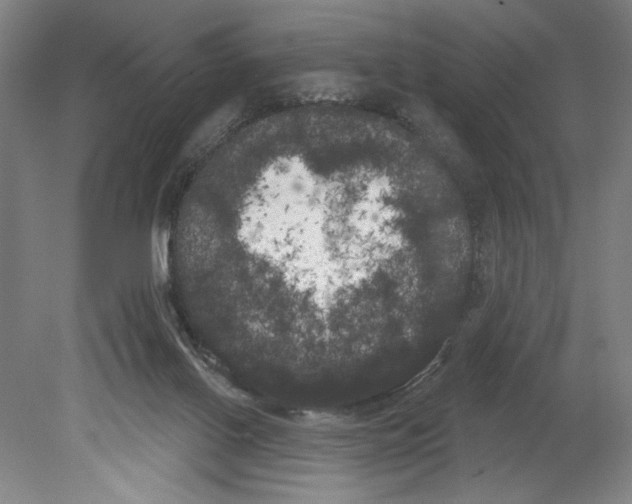 X0000080670070200701051019