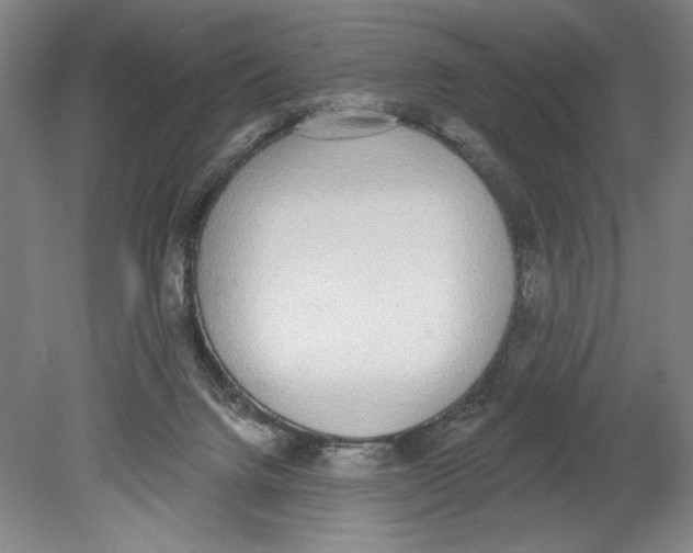 X0000080670072200701051019