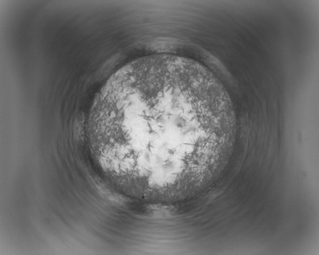 X0000080670073200701051019