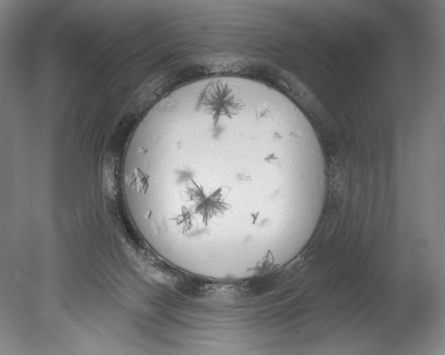 X0000080670074200701051019