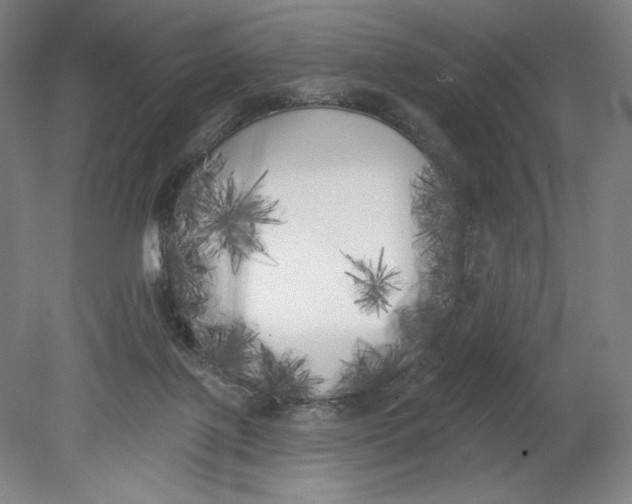 X0000080670075200701051019