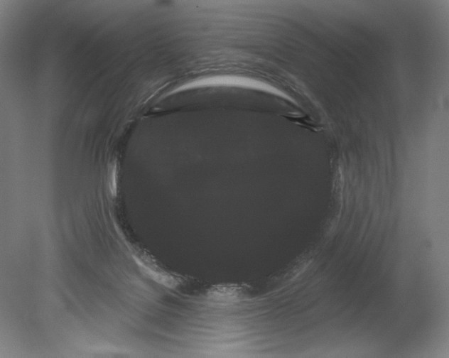 X0000080670076200701051019