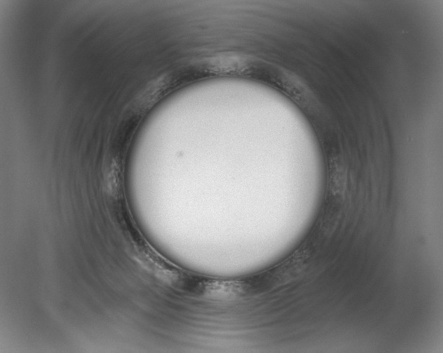 X0000080670077200701051019