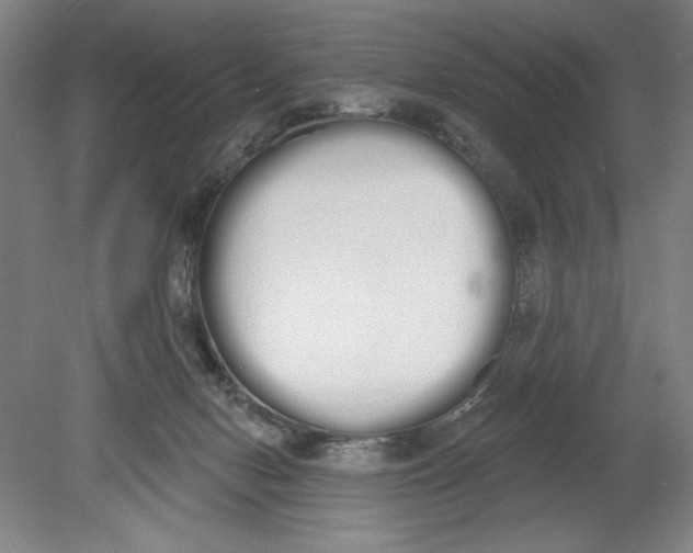 X0000080670078200701051019