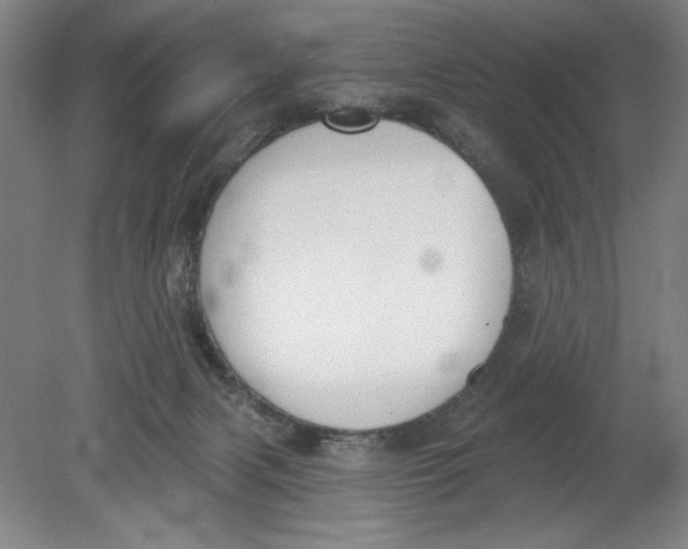 X0000080670079200701051019