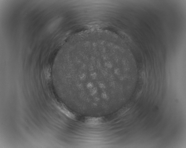 X0000080670081200701051019