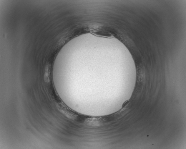 X0000080670082200701051019