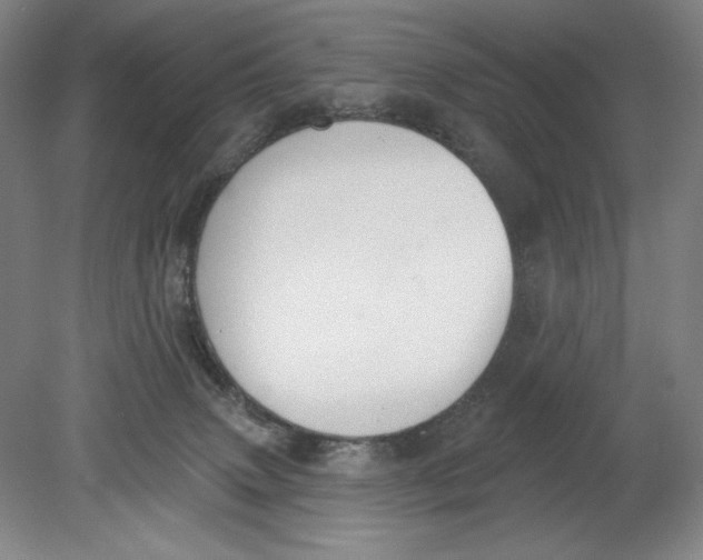 X0000080670083200701051019