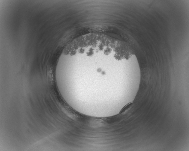 X0000080670086200701051019