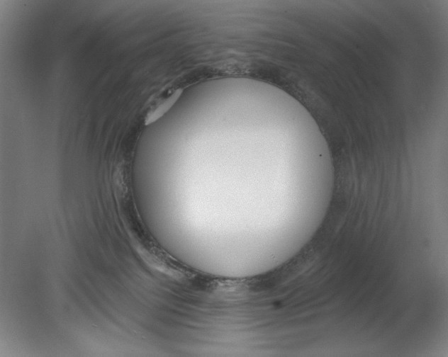 X0000080670088200701051019