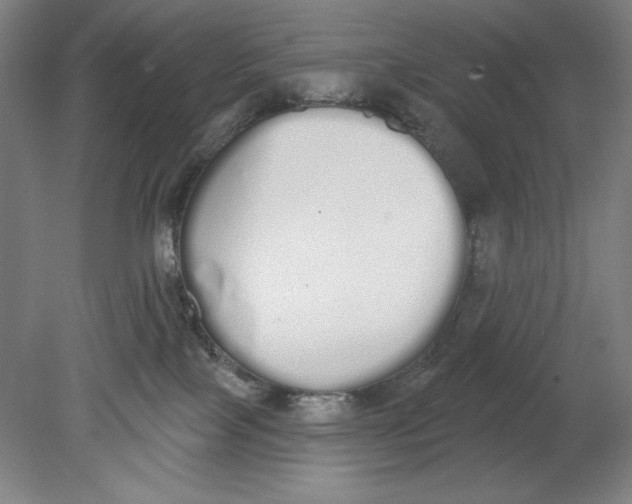 X0000080670089200701051019