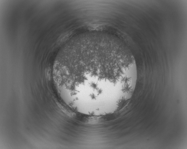 X0000080670090200701051019